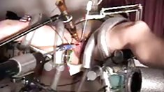 თმები მოყვარული, წყალსადენის ოსტატი,