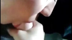 აზიელები დიდი toe (, მისგან) სრული