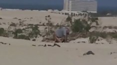 ცხელი წითური და მისი მეუღლე აქვს შავი