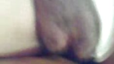 ,, დღესასწაული,