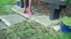 უძრავი თმები წყვილი მაკრატელი და წოვა