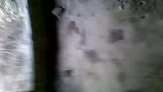 PBF vault: tori black