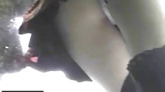 ფანტაზია