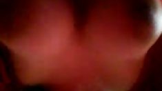 Yaz ჰოლანდია (2)