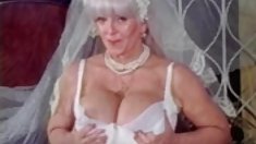 , თესლი 13