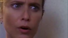 მერცხალი მტკიცებულება