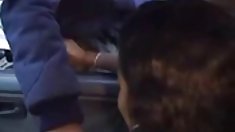 Box Nova - კლასიკური Busty babe