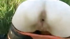 შავი - უზენაესი ლათინური ანგელოზი