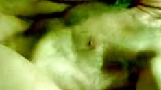 ჩეხი - Nikola