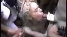 ქალები, ტრაკი,