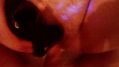 იმ სახლში დამზადებული, BIIS) 24