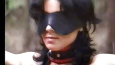 თვალთვალი,