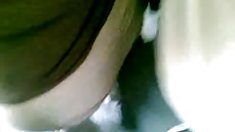 ქერა, შესანიშნავი sunning