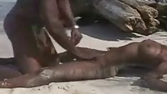 თეთრი შოულობს swallowship