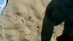 შეჩერებულია, მოყვარული,