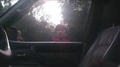 სველი - ლილი Thai