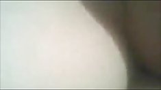 Asa უყვარს თავისი სამუშაო