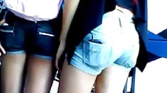 ნეილონი