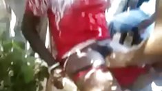 უხეში მოყვარული