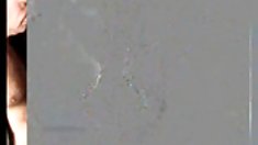 Sexy დღესასწაული, კლუბი