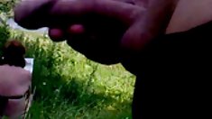 ჩემი პირში გეგმა იყო საგადასახადო