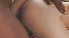 გაჟიმვა chick