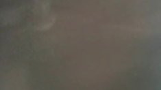 ძველი სკოლა 1989 ფოლადის მაგნოლიების პაროდია