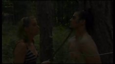 ექსპერტი ორგაზმი.