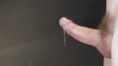 Pussy on beach სკამზე