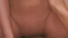 ბრიტანეთის ყველაზე ერთგულ კოლექცია დიასახლისები