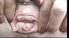 ტკბილი კანადის,