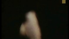 დიპლომი 16 წამი