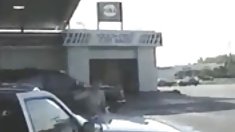 ,, უამრავი ღრუ და Facials