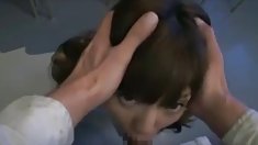 ტაილანდური 6