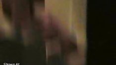 დიდი - დიდი ტრაკი, Vanessa გალიაში,