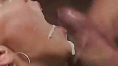 50 shades of დისციპლინის