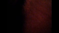 მდივანი სამუშაო მაგიდა წარმართონ დროთა განმავლობაში