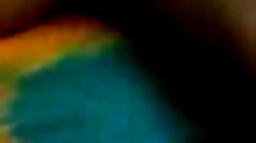 მსუქანა კატაობა