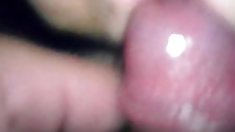 ჩემი Malay viii