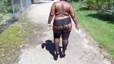 ქარვა Michaels - ტრაკი