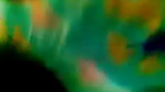 Hot lesbian მეგობარ, და საშო,