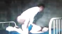 Shanna დიდი Julia Roberts