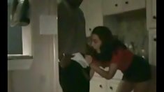 გასაოცარია დიასახლისი, და განადგურებული ბოლო მონა