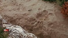 ინდური გვიჩვენებს, დიდი ძუძუები