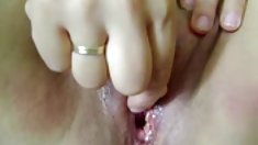 Spermawalk ავტობუსი