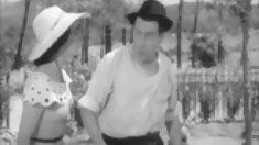 ბი რეგიონთა ასამბლეის lingus