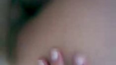 შავი ბოსი მიცემა