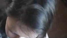 დიასახლისი