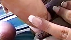 იაპონური ალუბლის Chicks 3,