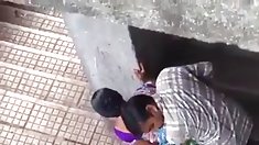 ველური ტროპიკული ქარიშხალი,